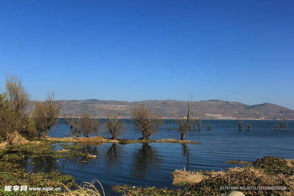 湖畔风光 静谧自然之景