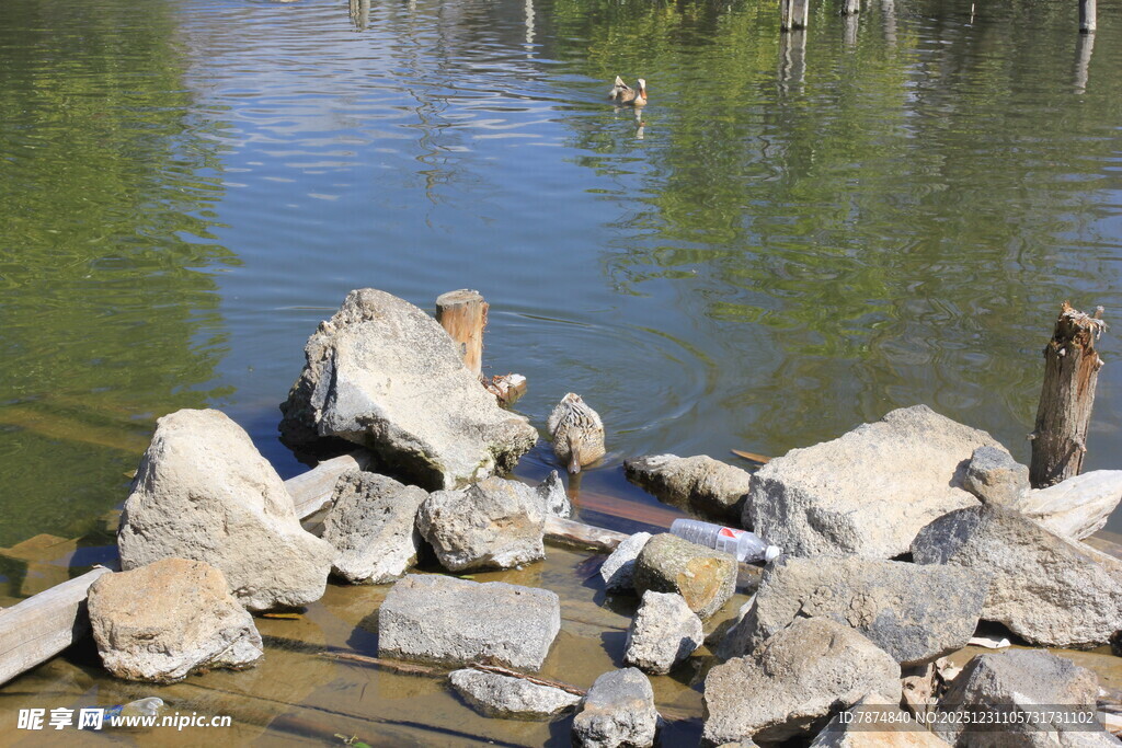 河边散落的大小石块