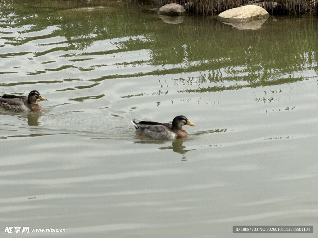 天津文化中心一角