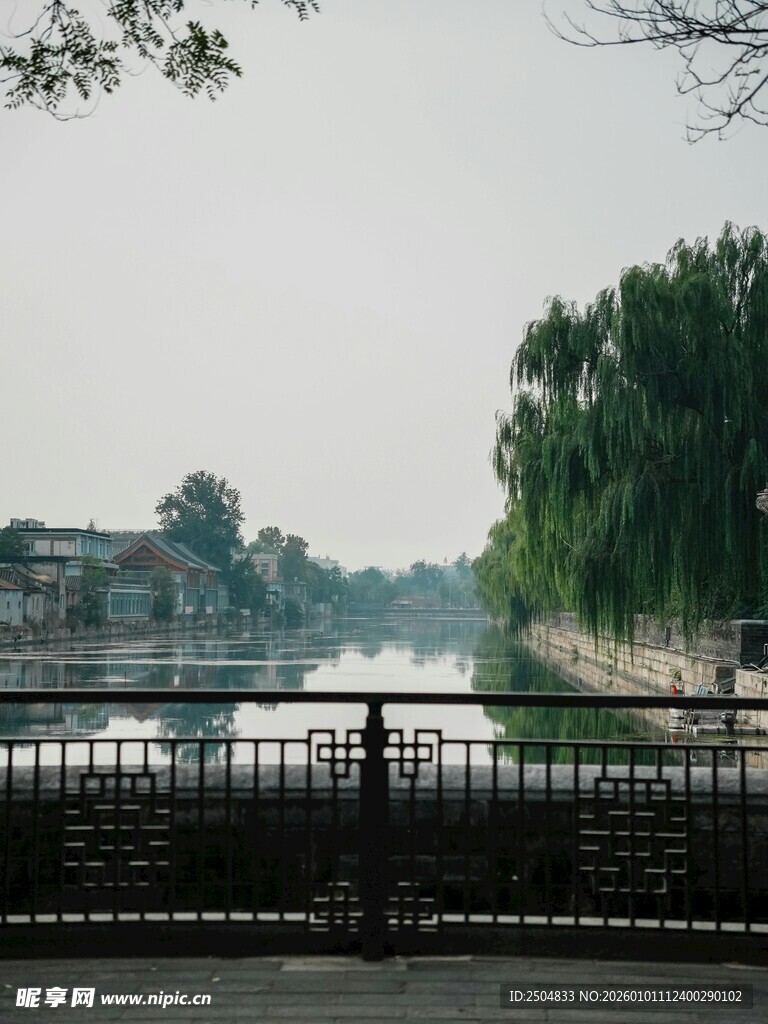 湖畔垂柳景 宁静自然美