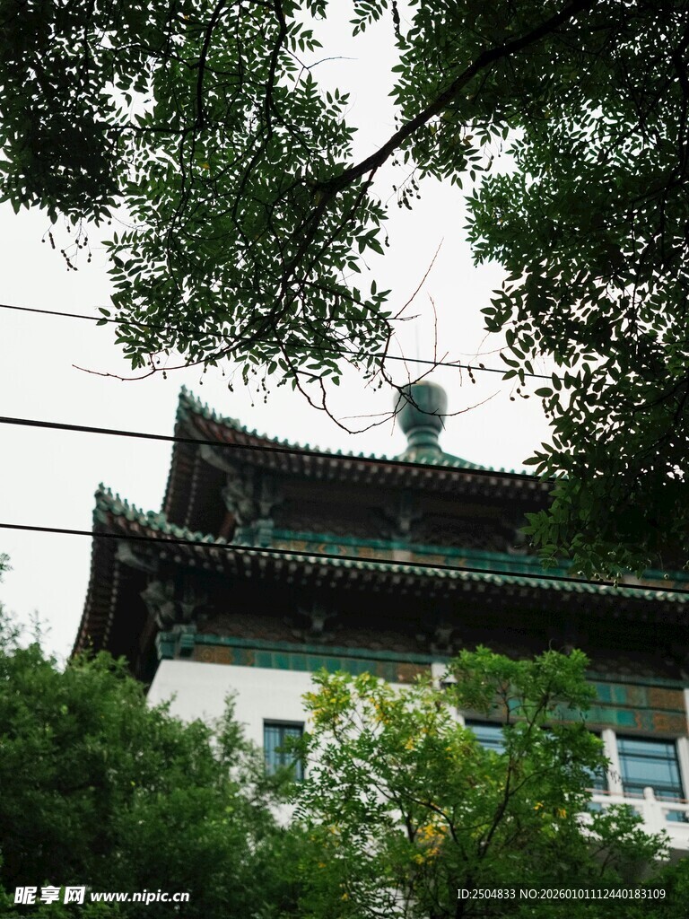 中式屋顶隐于绿树间