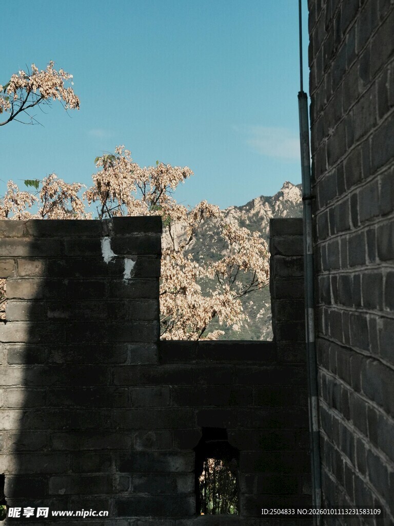 砖墙后的秋日树木景观