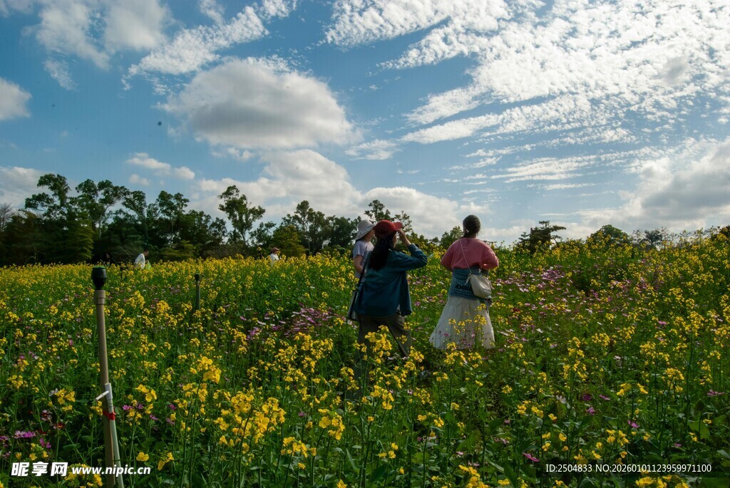 田野中漫步的两人