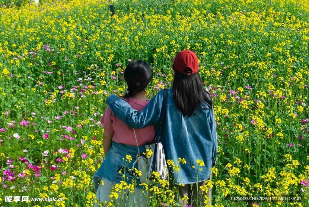 花海中两女孩的美好背影