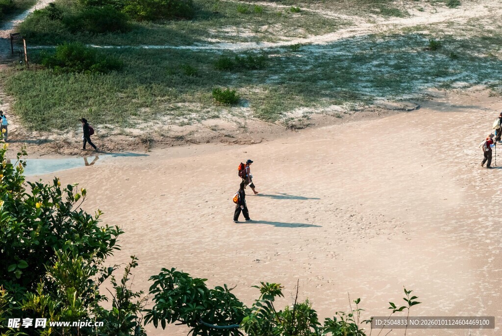 沙滩上的活力运动场景