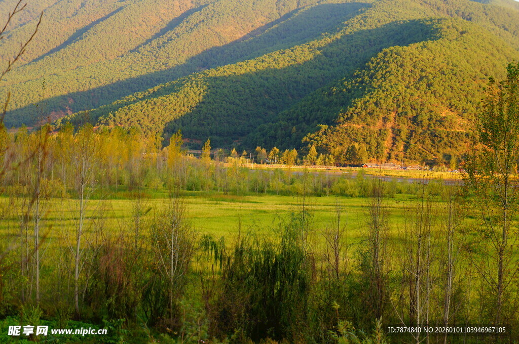 山间绿野风光