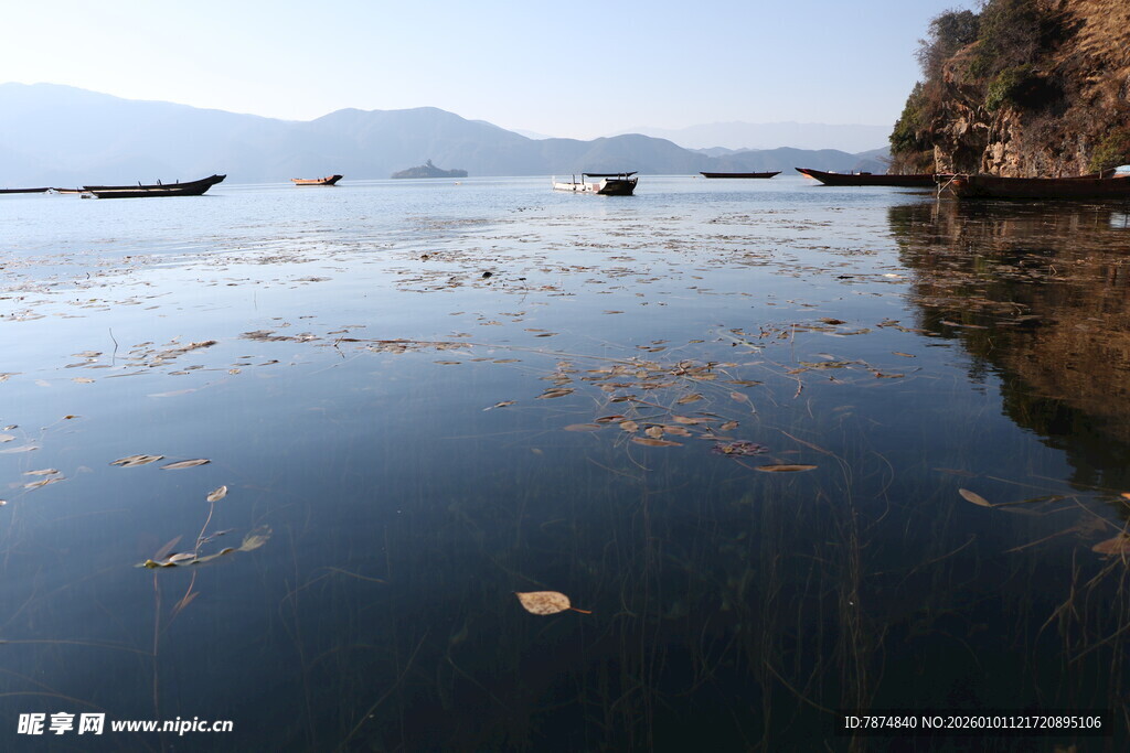 平静湖面漂浮着水生植物