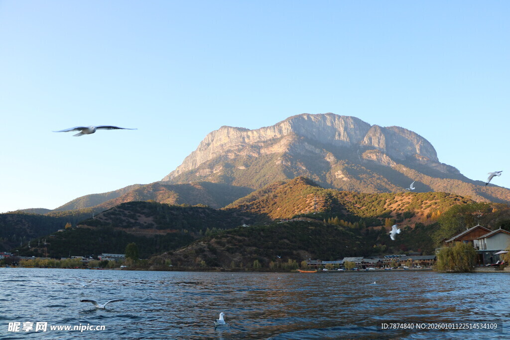 湖畔山峦飞鸟美景