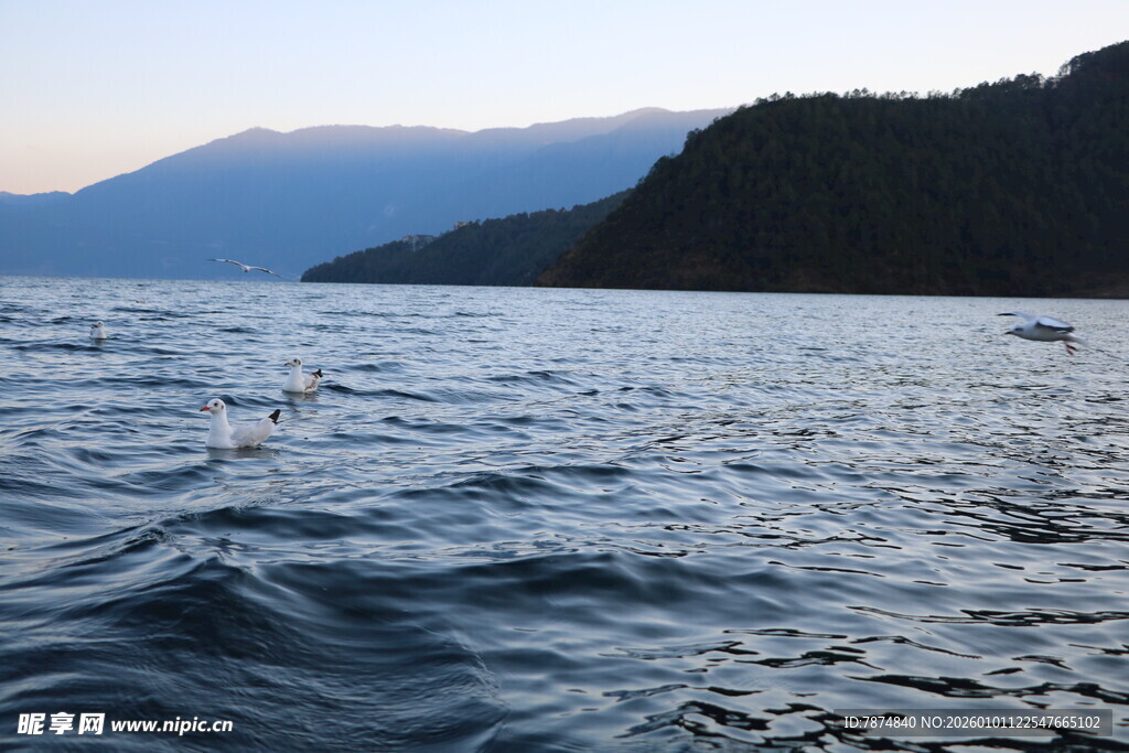 湖畔黄昏 水波荡漾之景