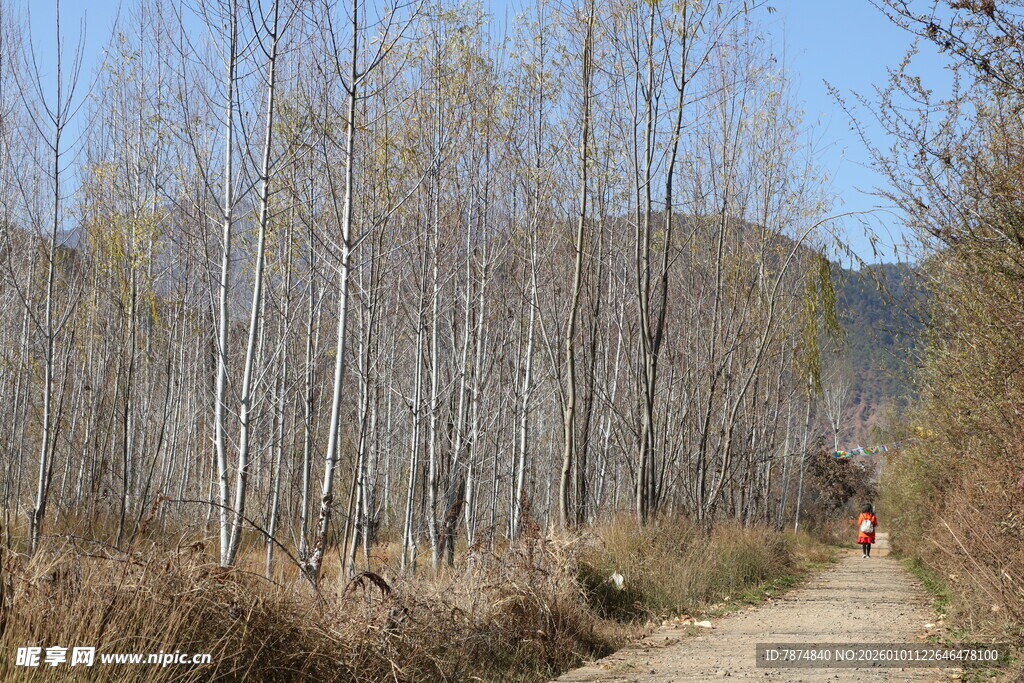 秋日林间小道徒步景象
