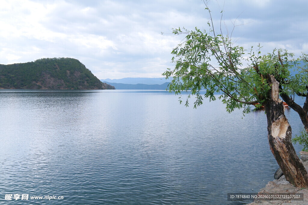 湖畔孤树 静谧山水风光