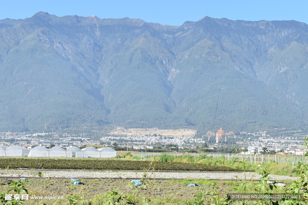 远山近景下的开阔景致