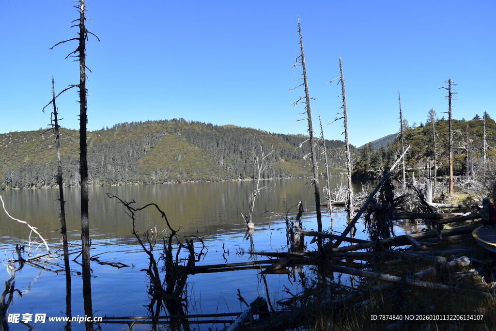 湖畔枯树与远山的静谧景象