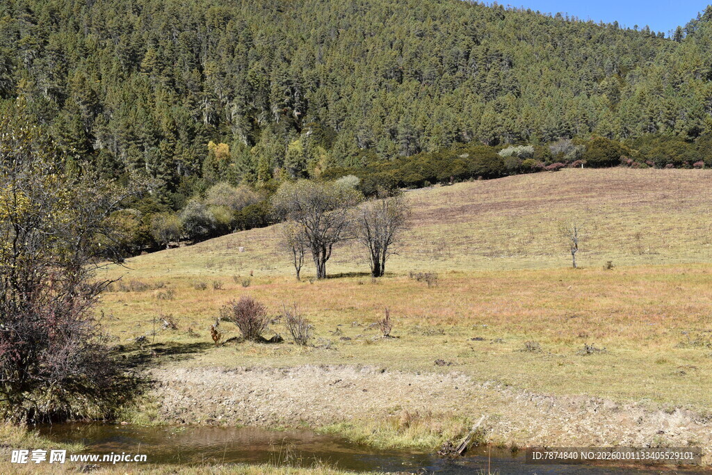 山间开阔草地与稀疏树木
