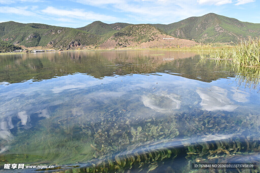 清澈湖水映山峦水草