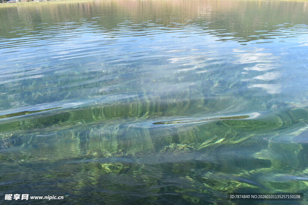 清澈湖水下的水草景观