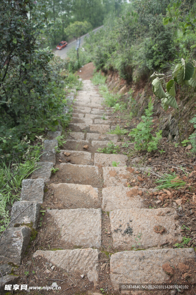 山间石板小径 绿意环绕