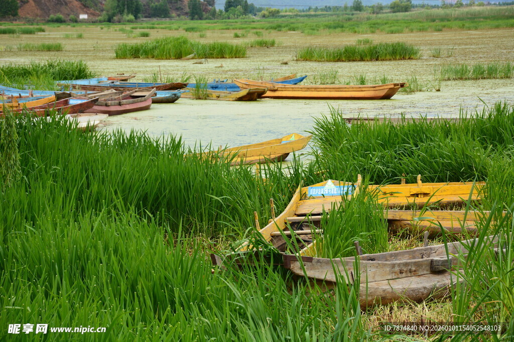 河畔小船与葱郁草地