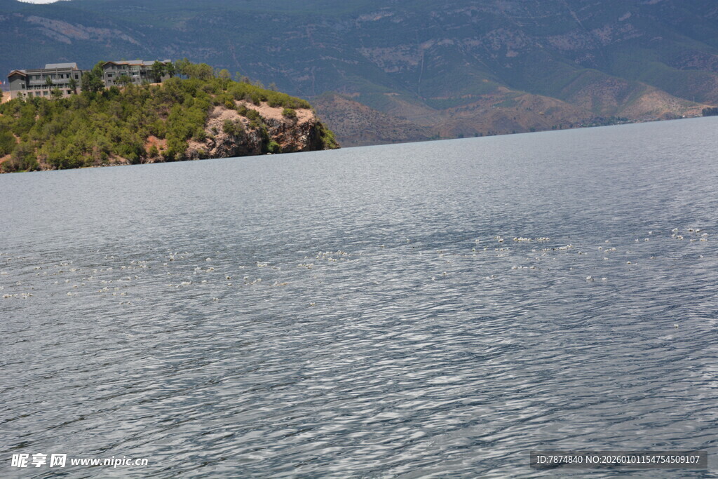 宁静湖面与岸边景色