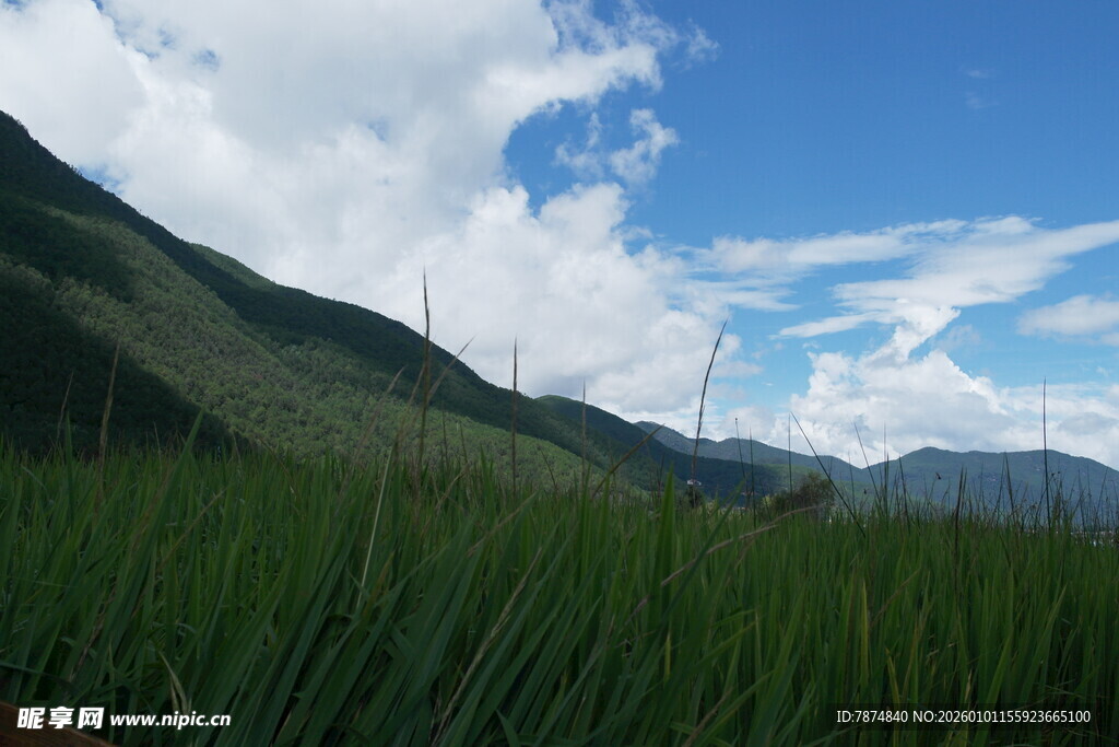 山间绿野蓝天美景