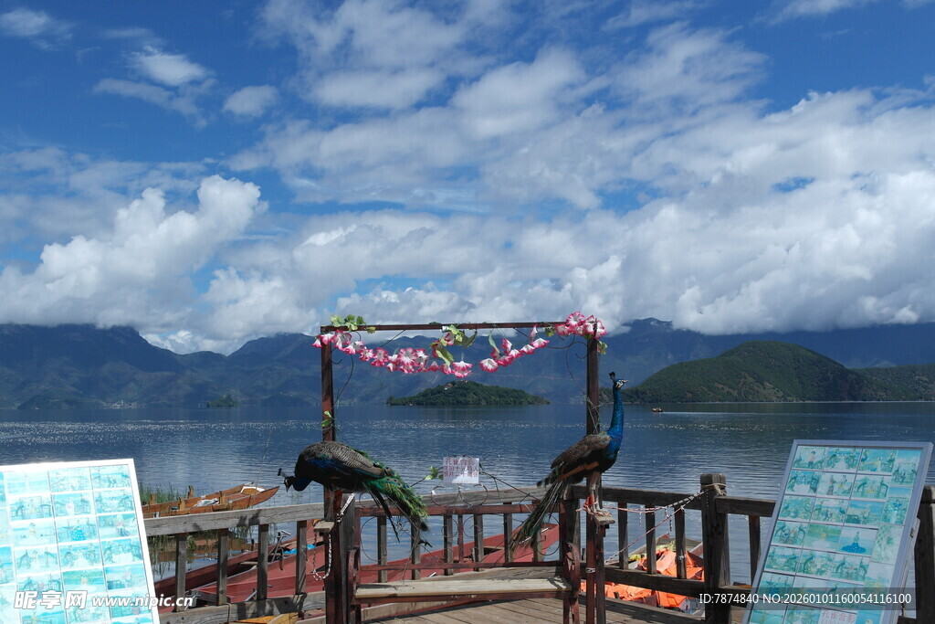 湖畔观景台 风光无限好