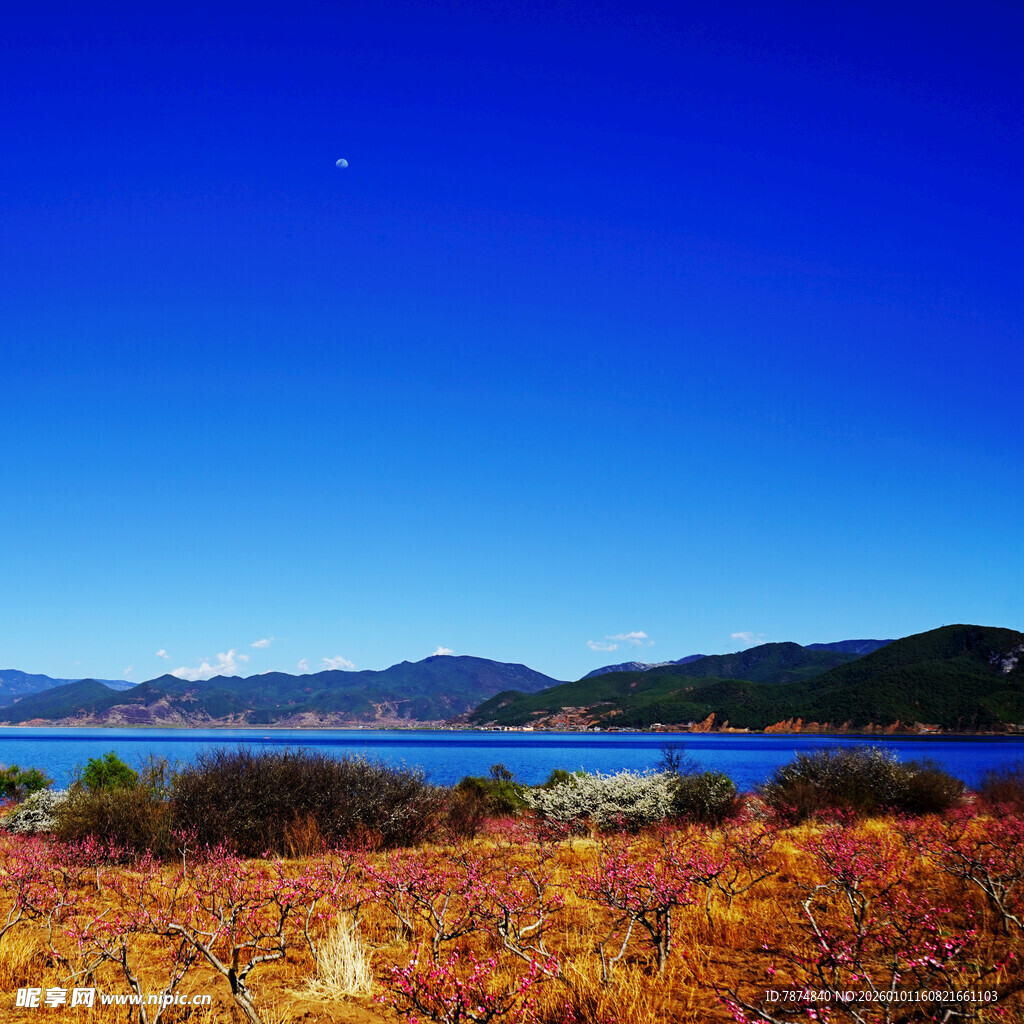 湖畔绚烂花田与远山蓝天