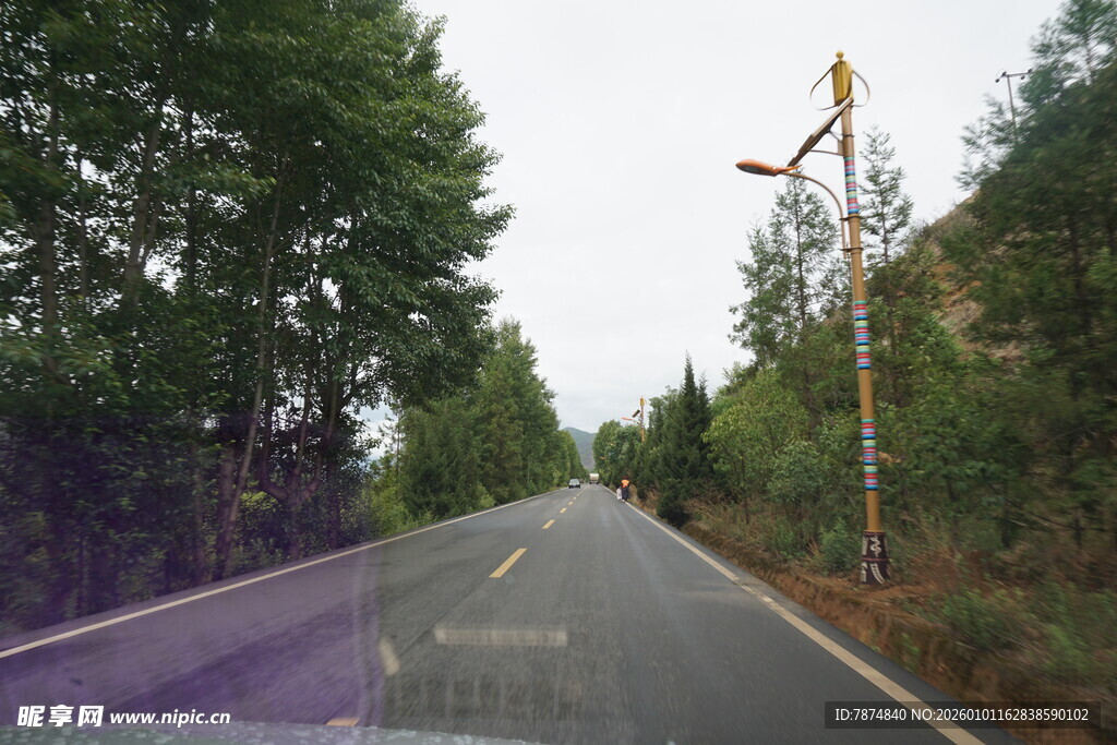 乡村公路旁绿树成荫