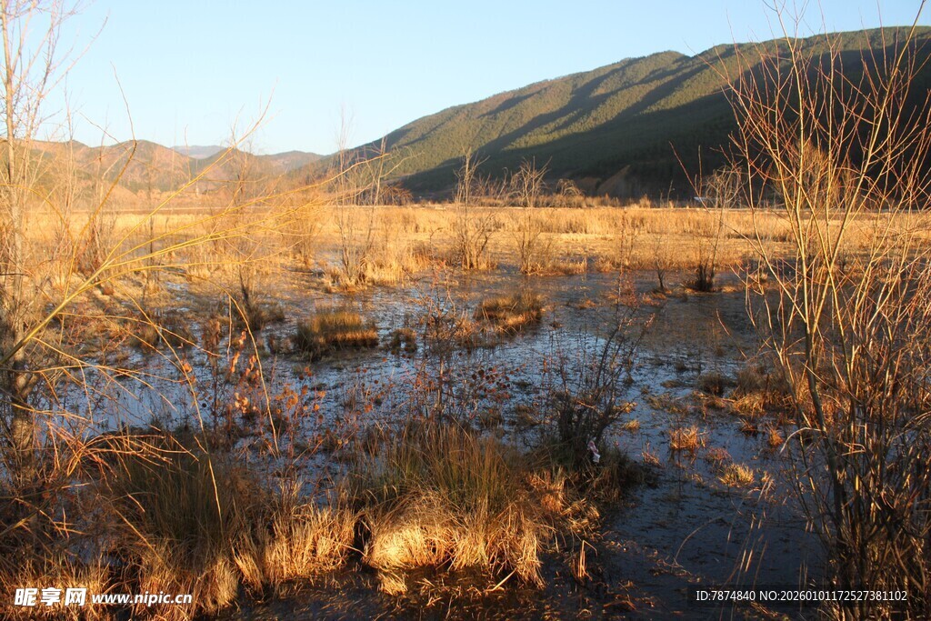 夕阳下的湿地景观
