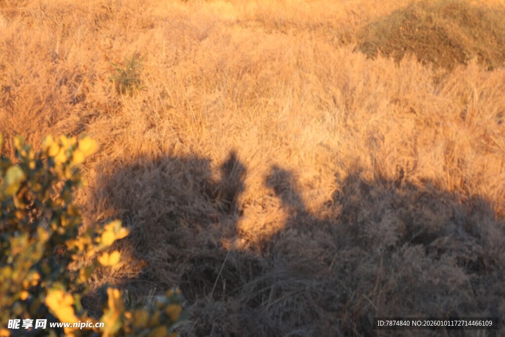 夕阳下的人影与自然景观