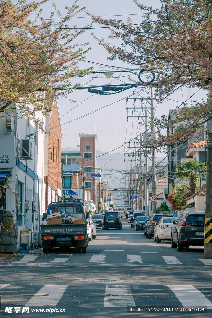 宁静街道的日常景象