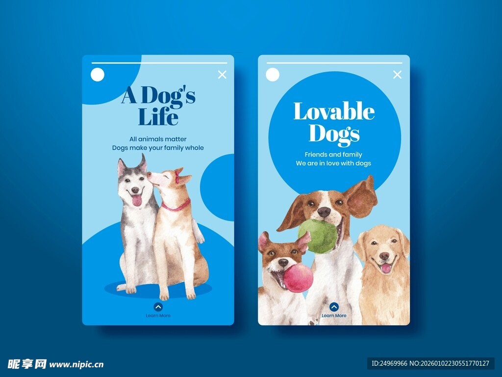 可爱宠物书籍封面展示