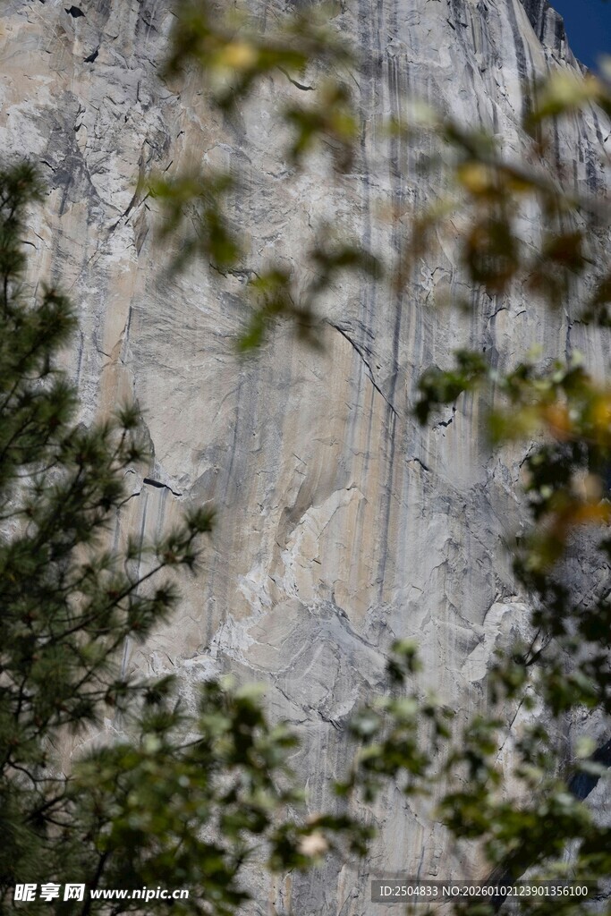 石壁上的雕刻景观