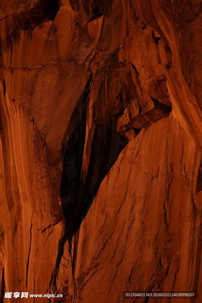 纹理独特的木质结构特写