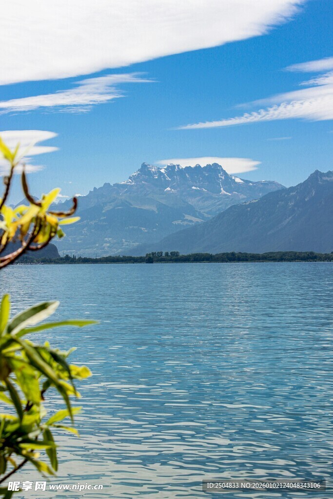湖畔美景 远山繁花相映