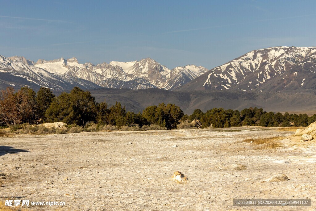 雪山下的开阔荒野景色