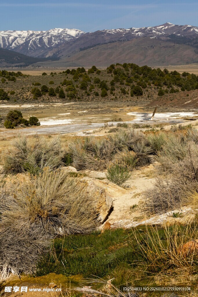  漠中的远山与稀疏植被