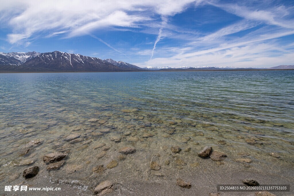清澈湖边的美丽自然风光