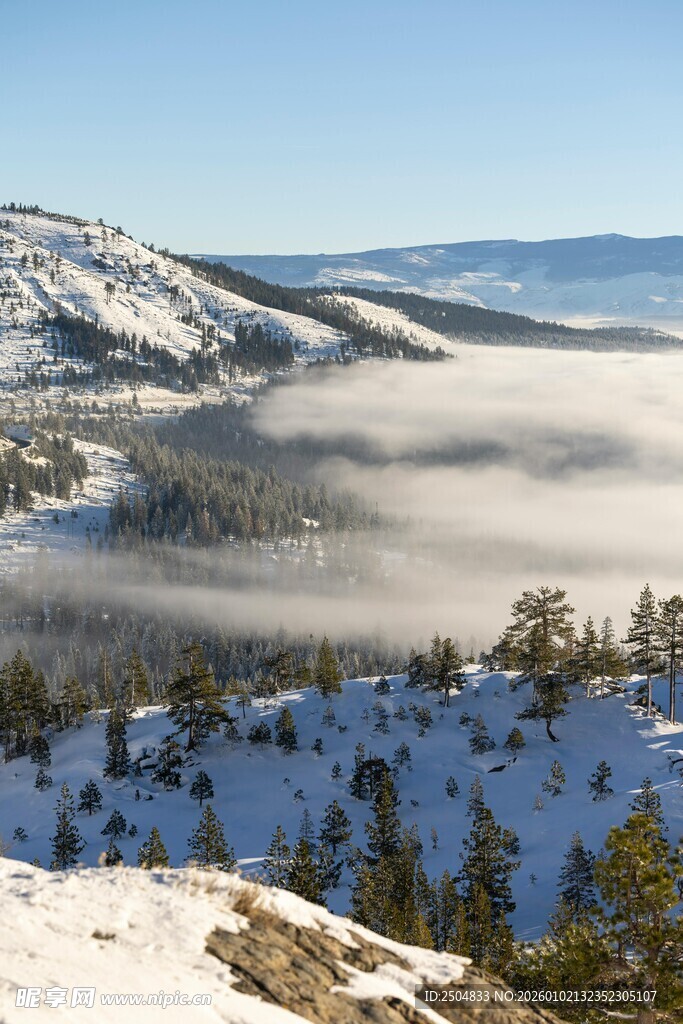 雪山云海间的壮美山林