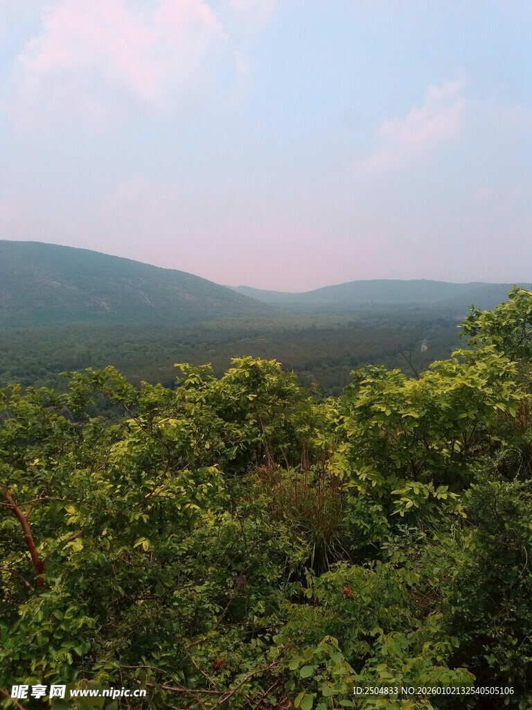 山林绿意 自然风光美景