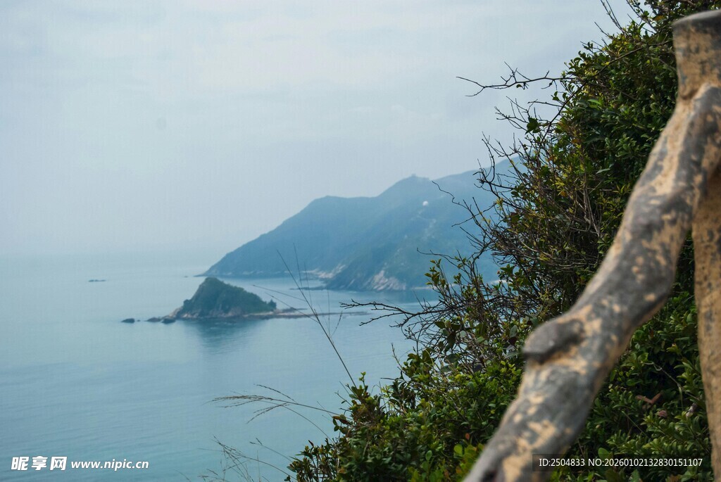 海边山景与枯木