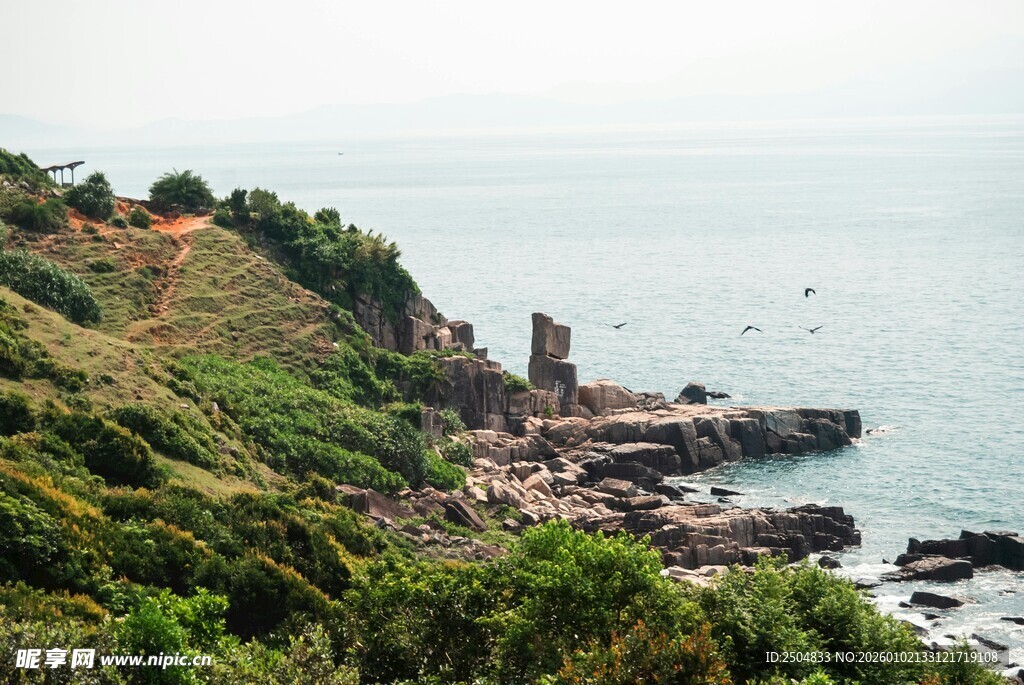 海岸边的翠绿山丘与礁石