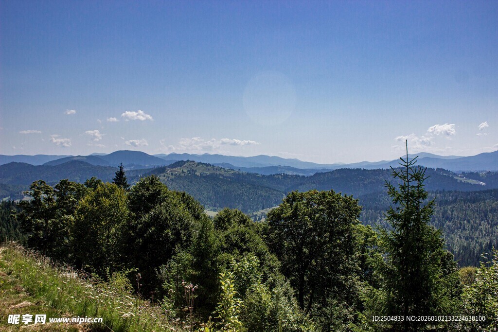 山间美景 葱郁林木与远山