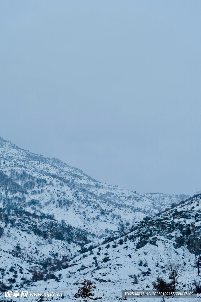 雪覆山峦的冬日景致