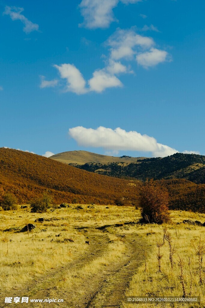 旷野之路 远山蓝天相伴