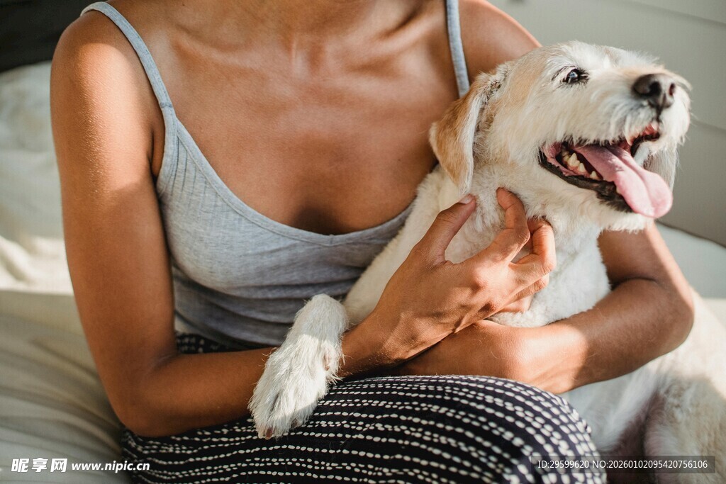 女子与可爱小狗温馨相拥