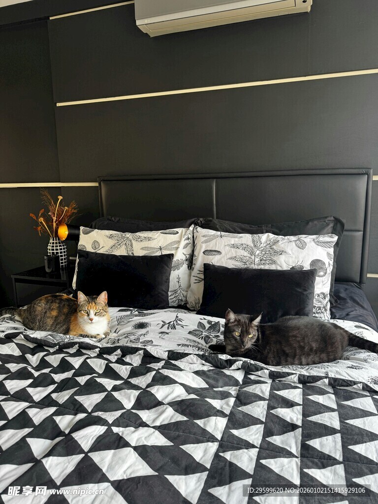黑白格调卧室温馨场景