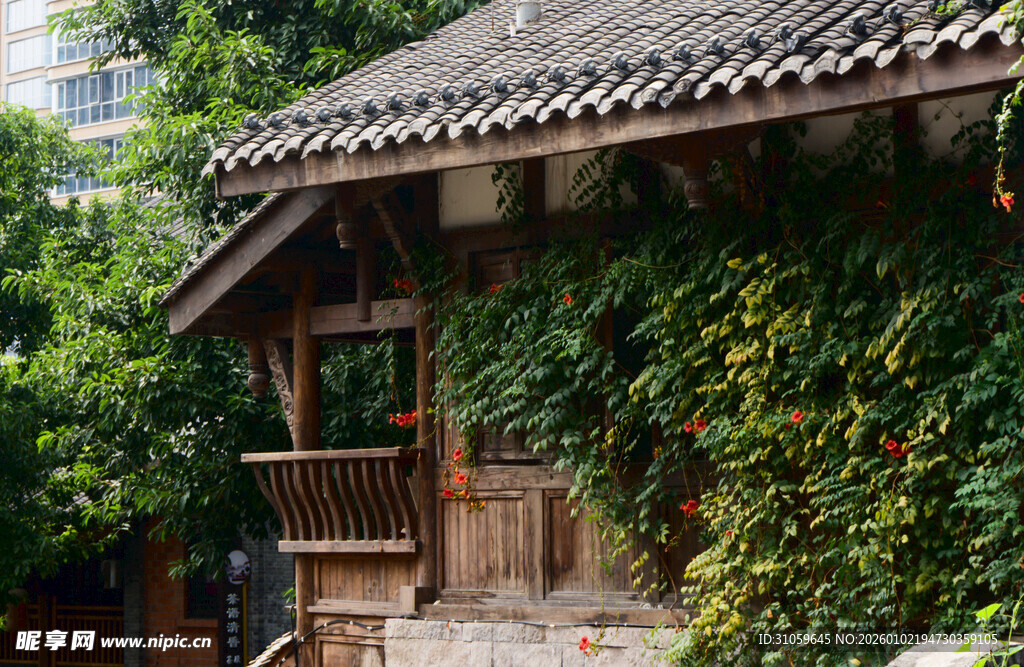 古朴小屋被绿植环绕