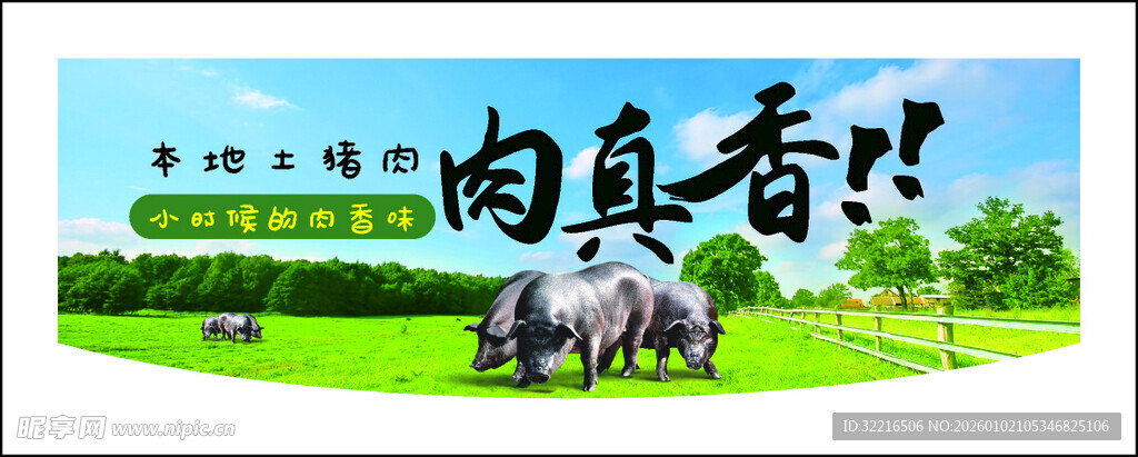 黑猪土猪宣传展板