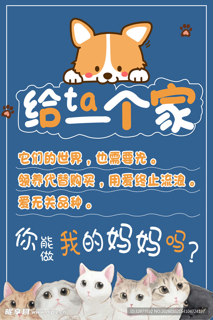 给小柯基找个温暖的家