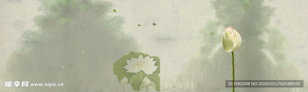 清新淡雅的两株白色花朵